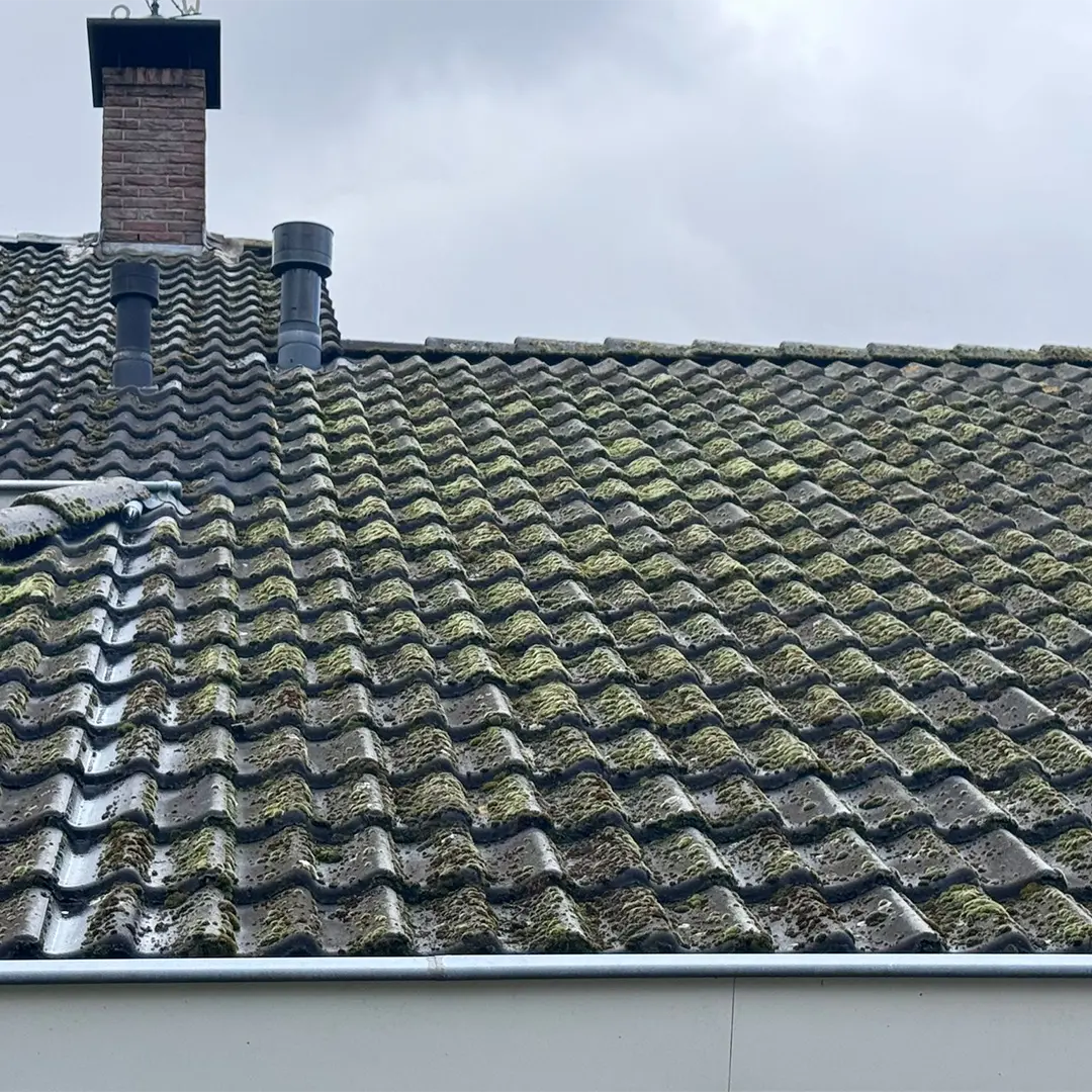 Bilder Dachreinigung Vorher
